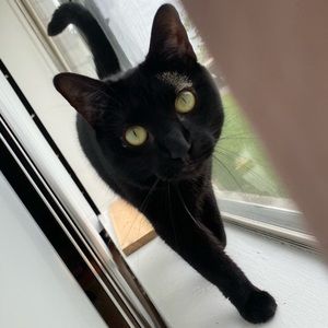 Meet your Posher, Kassidy